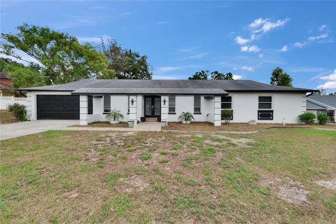House in Valrico, Florida 4 bedrooms, 253.81 sq.m. № 1679591 - photo 1