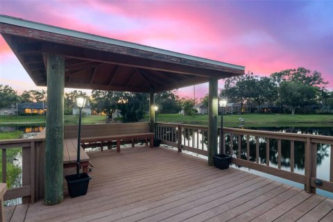 House in Lutz, Florida 4 bedrooms, 484.95 sq.m. № 1838859 - photo 6