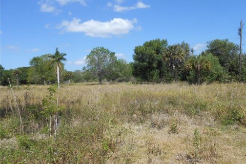 Terreno en venta en Punta Gorda, Florida № 1511820 - foto 1