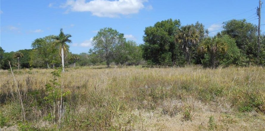 Terreno en Punta Gorda, Florida № 1511820