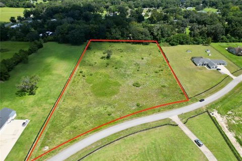 Land in Belleview, Florida № 2364824