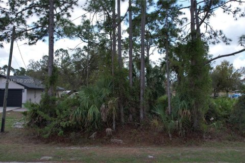 Terrain à vendre à North Port, Floride № 2158611 - photo 25