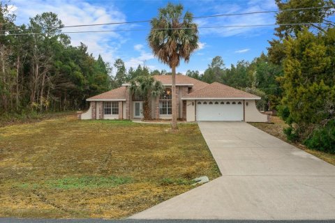 Villa ou maison à vendre à Fruitland Park, Floride: 3 chambres, 184.32 m2 № 2330551 - photo 2