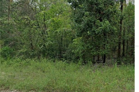 Land in Williston, Florida № 2161492