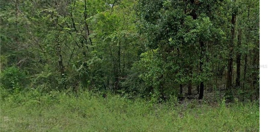 Land in Williston, Florida № 2161492