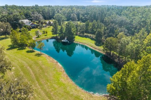 House in Alachua, Florida 8 bedrooms, 764.68 sq.m. № 2396586 - photo 4