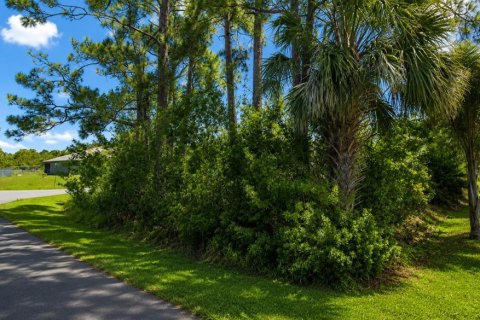 Land in Palm Bay, Florida № 2237452