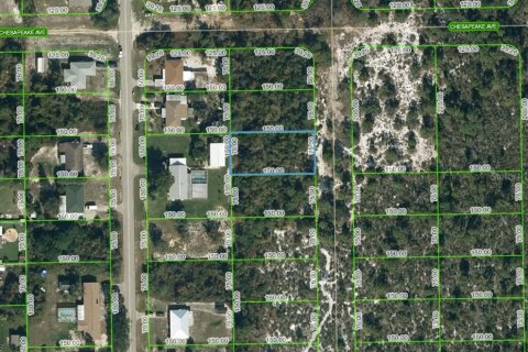 Land in Lake Placid, Florida № 2224011