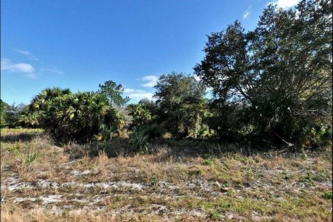 Land in North Port, Florida № 2164883 - photo 2