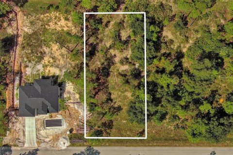 Land in Lehigh Acres, Florida № 2164330 - photo 2