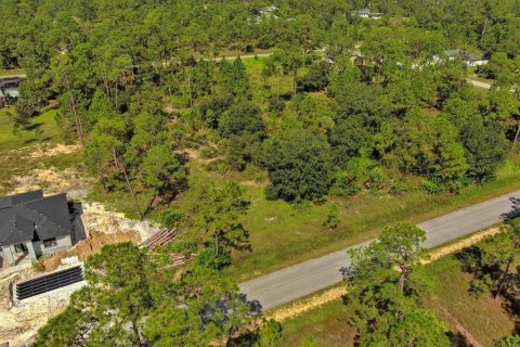 Land in Lehigh Acres, Florida № 2164330 - photo 10