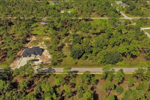 Land in Lehigh Acres, Florida № 2164330 - photo 16