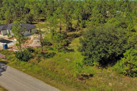 Land in Lehigh Acres, Florida № 2164330 - photo 3