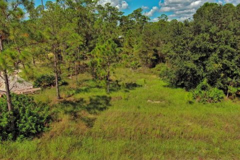 Land in Lehigh Acres, Florida № 2164330