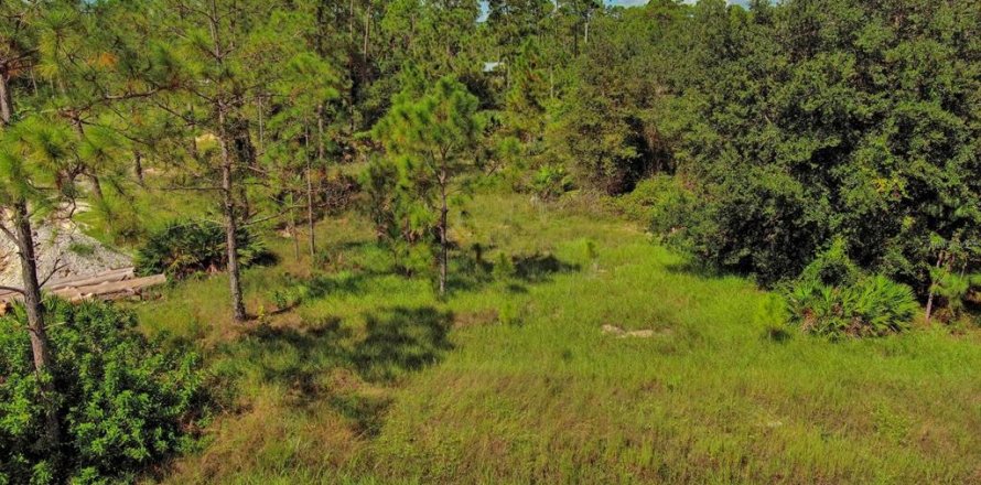 Land in Lehigh Acres, Florida № 2164330