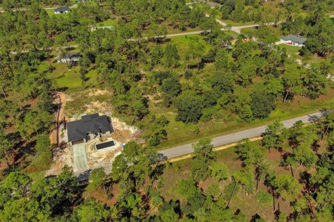 Land in Lehigh Acres, Florida № 2164330 - photo 18