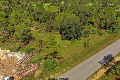 Land in Lehigh Acres, Florida № 2164330 - photo 7