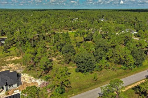 Land in Lehigh Acres, Florida № 2164330 - photo 9