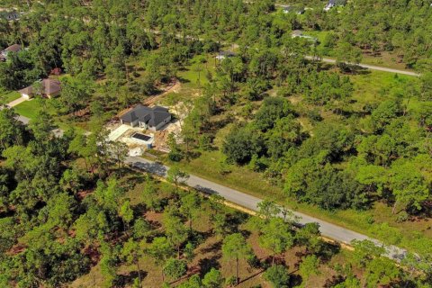 Land in Lehigh Acres, Florida № 2164330 - photo 15