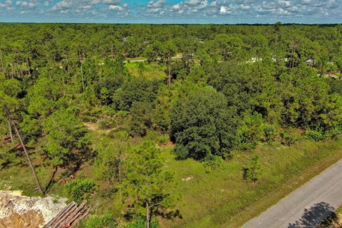 Land in Lehigh Acres, Florida № 2164330 - photo 8