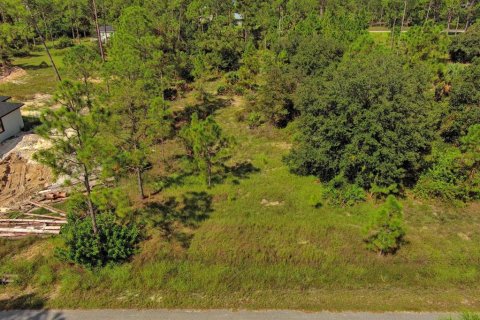 Land in Lehigh Acres, Florida № 2164330 - photo 5