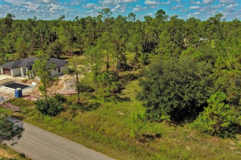 Land in Lehigh Acres, Florida № 2164330 - photo 4
