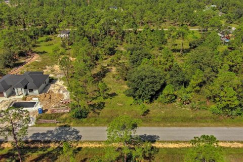 Land in Lehigh Acres, Florida № 2164330 - photo 11