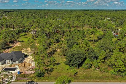 Land in Lehigh Acres, Florida № 2164330 - photo 12