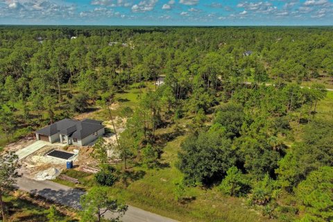 Land in Lehigh Acres, Florida № 2164330 - photo 13