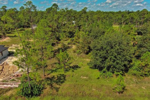 Land in Lehigh Acres, Florida № 2164330 - photo 6