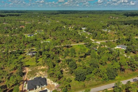 Land in Lehigh Acres, Florida № 2164330 - photo 17