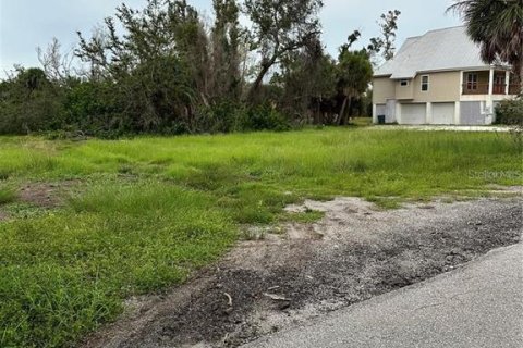 Land in Placida, Florida № 2329124