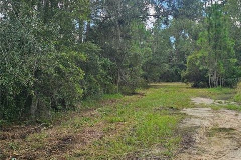 Land in Lakeland, Florida № 2362587