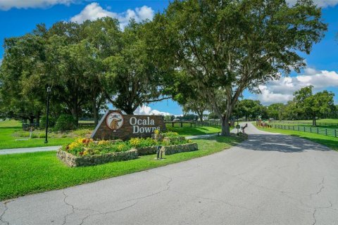 Villa ou maison à vendre à Ocala, Floride: 3 chambres, 217.58 m2 № 1318705 - photo 8