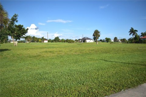 Land in Punta Gorda, Florida № 2161360 - photo 2
