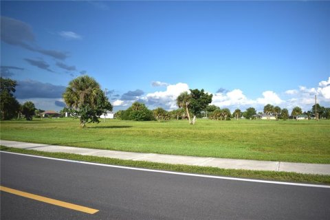 Land in Punta Gorda, Florida № 2161360 - photo 4