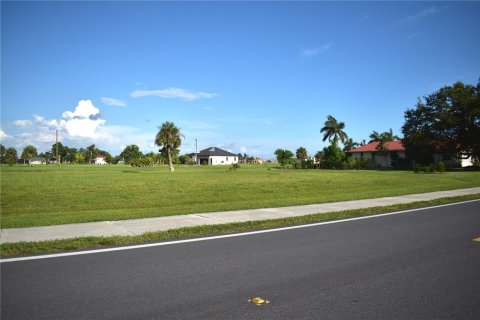 Land in Punta Gorda, Florida № 2161360 - photo 3