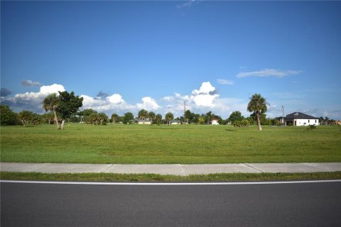 Land in Punta Gorda, Florida № 2161360