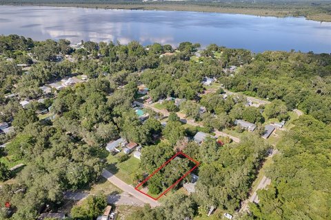House in Lake Panasoffkee, Florida 3 bedrooms, 86.4 sq.m. № 2157864 - photo 6