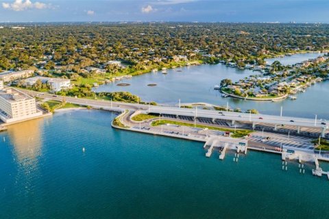Condo in Belleair Bluffs, Florida, 2 bedrooms  № 1844960 - photo 3