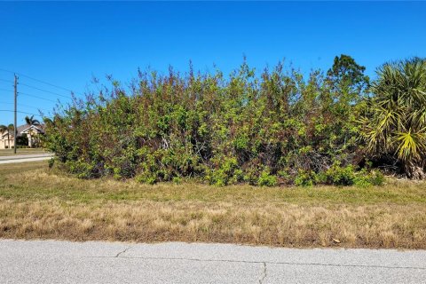 Land in Port Charlotte, Florida № 2165249 - photo 4