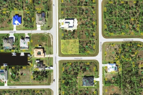 Land in Port Charlotte, Florida № 2165249 - photo 2