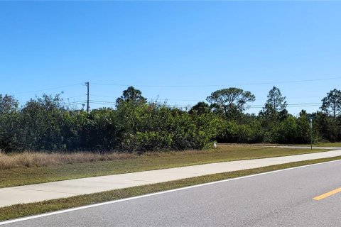 Land in Port Charlotte, Florida № 2165249 - photo 3