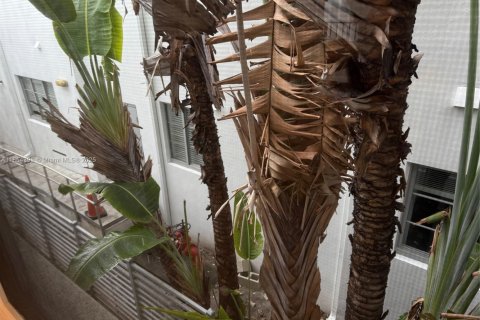 Condo in Miami Beach, Florida, 1 bedroom  № 1893311 - photo 9