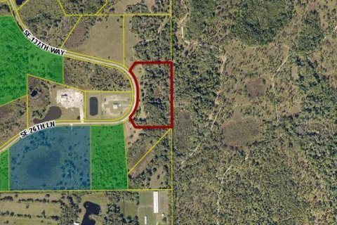 Land in Okeechobee, Florida № 1163154 - photo 1