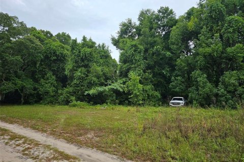 Land in Ocklawaha, Florida № 2205978