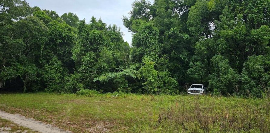 Land in Ocklawaha, Florida № 2205978