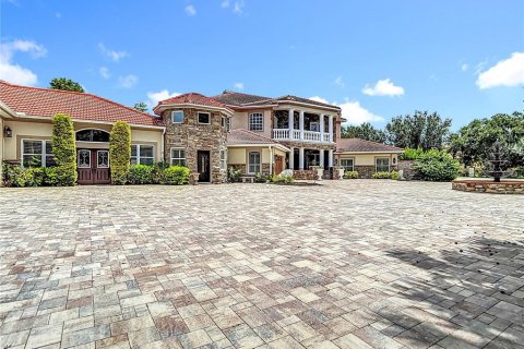 House in Odessa, Florida 5 bedrooms, 724.64 sq.m. № 1885841 - photo 18