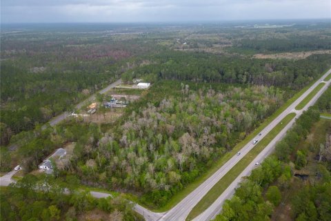 Land in Gainesville, Florida № 1812850 - photo 2
