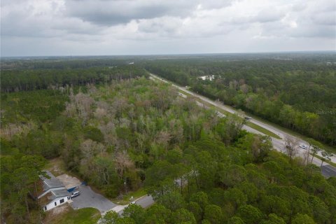 Land in Gainesville, Florida № 1812850 - photo 4